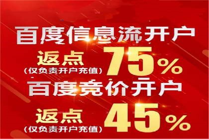 百度推广代运营案例：案例解析：如何提升广告投放效果